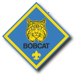 Lion Cubs badge